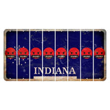 Indiana Blue Cut License Plate Strips (Set of 8) Emoji - Pissed