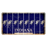Indiana Blue Cut License Plate Strips (Set of 8) Fairy