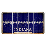 Indiana Blue Cut License Plate Strips (Set of 8) PS Controller