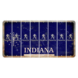 Indiana Blue Cut License Plate Strips (Set of 8) Zodiac Sign - Aquarius