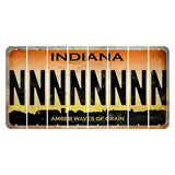 Indiana Amber Wave Cut License Plate Strips (Set of 8) N