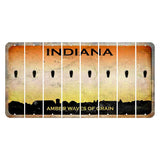 Indiana Amber Wave Cut License Plate Strips (Set of 8) Apostrophe