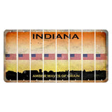 Indiana Amber Wave Cut License Plate Strips (Set of 8) American Flag