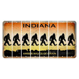 Indiana Amber Wave Cut License Plate Strips (Set of 8) Bigfoot