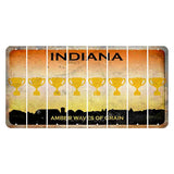 Indiana Amber Wave Cut License Plate Strips (Set of 8) Trophy