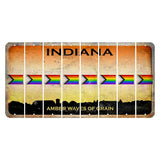 Indiana Amber Wave Cut License Plate Strips (Set of 8) LGBTQ Flag