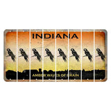 Indiana Amber Wave Cut License Plate Strips (Set of 8) Parrot