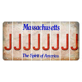 Massachusetts Spirit of America Cut License Plate Strips (Set of 8) J