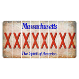 Massachusetts Spirit of America Cut License Plate Strips (Set of 8) X