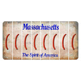 Massachusetts Spirit of America Cut License Plate Strips (Set of 8) Parenthesis - Left