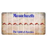 Massachusetts Spirit of America Cut License Plate Strips (Set of 8) Dolphin