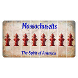 Massachusetts Spirit of America Cut License Plate Strips (Set of 8) Fire Hydrant