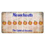 Massachusetts Spirit of America Cut License Plate Strips (Set of 8) Peach