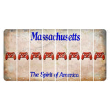 Massachusetts Spirit of America Cut License Plate Strips (Set of 8) X Controller