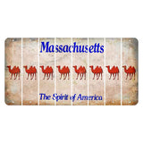 Massachusetts Spirit of America Cut License Plate Strips (Set of 8) Camel