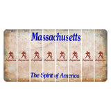 Massachusetts Spirit of America Cut License Plate Strips (Set of 8) Zodiac Sign - Aquarius