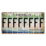 Michigan Spectacular Peninsulas Cut License Plate Strips (Set of 8) F