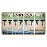 Michigan Spectacular Peninsulas Cut License Plate Strips (Set of 8) Caduceus
