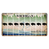 Michigan Spectacular Peninsulas Cut License Plate Strips (Set of 8) Buffalo