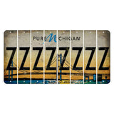 Michigan Mackinac Bridge Cut License Plate Strips (Set of 8) Z