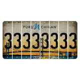 Michigan Mackinac Bridge Cut License Plate Strips (Set of 8) 3