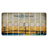 Michigan Mackinac Bridge Cut License Plate Strips (Set of 8) Volleyball