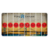 Michigan Mackinac Bridge Cut License Plate Strips (Set of 8) Emoji - Angry