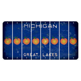 Michigan Blue Great Lakes Cut License Plate Strips (Set of 8) Peach