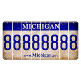 Michigan.gov Cut License Plate Strips (Set of 8) 8
