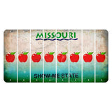 Missouri Show Me State Cut License Plate Strips (Set of 8) Apple