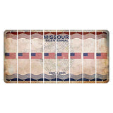 Missouri Bicentennial Cut License Plate Strips (Set of 8) American Flag