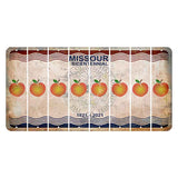 Missouri Bicentennial Cut License Plate Strips (Set of 8) Peach