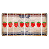 Missouri Bicentennial Cut License Plate Strips (Set of 8) Strawberry