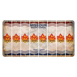 Missouri Bicentennial Cut License Plate Strips (Set of 8) Campfire