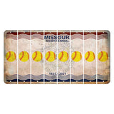 Missouri Bicentennial Cut License Plate Strips (Set of 8) Softball