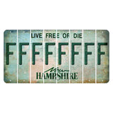 New Hampshire Cannon Mountain Cut License Plate Strips (Set of 8) F