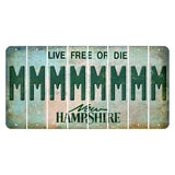 New Hampshire Cannon Mountain Cut License Plate Strips (Set of 8) M