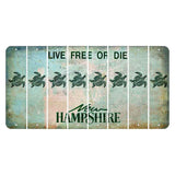 New Hampshire Cannon Mountain Cut License Plate Strips (Set of 8) Sea Turtle