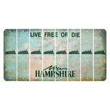 New Hampshire Cannon Mountain Cut License Plate Strips (Set of 8) Train