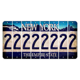 New York Blue The Empire State Cut License Plate Strips (Set of 8) 2