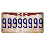 Ohio Pride Cut License Plate Strips (Set of 8) 9