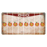 Ohio Pride Cut License Plate Strips (Set of 8) Peach
