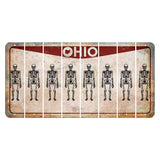 Ohio Pride Cut License Plate Strips (Set of 8) Skeleton