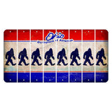 Ohio Sunburst Cut License Plate Strips (Set of 8) Bigfoot