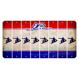 Ohio Sunburst Cut License Plate Strips (Set of 8) Snowboarder