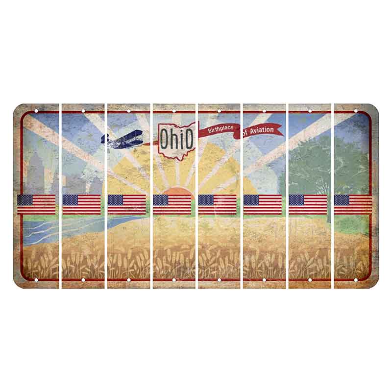 Sunrise in Ohio Cut License Plate Strips (Set of 8) American Flag