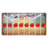 Sunrise in Ohio Cut License Plate Strips (Set of 8) Apple