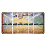 Sunrise in Ohio Cut License Plate Strips (Set of 8) Train
