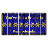 Pennsylvania Youve Got a Friend Cut License Plate Strips (Set of 8) Radioactive