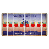 South Carolina Travel2SC Cut License Plate Strips (Set of 8) Teacher Apple